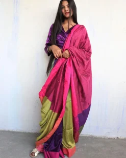 Ahona Handwoven Pure Cotton Viscose Saree  - Holi