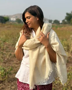 Alpine Glow Pure Wool Zari Shawl