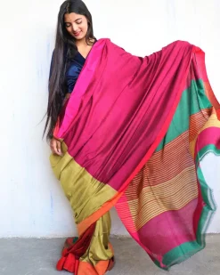Anika Handwoven Pure Cotton Viscose Saree  - Holi