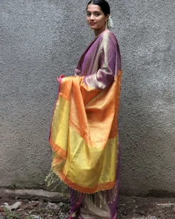 Roshani Handwoven Cotton Zari Saree - Chandani