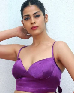 Subarnarekha Mashru Silk Blouse